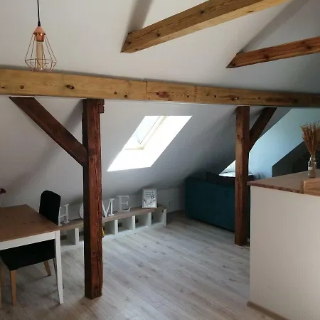 Cat Apartament Zagloby