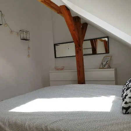 Cat Apartament Zagloby Apartamento Szczecin